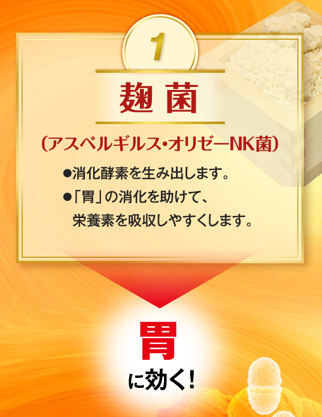 1.麹菌(アスペルギルス・オリゼーNH菌) ●消化酵素を生み出します。●「胃」の消化を助けて、 栄養素を吸収しやすくします。 →胃に効く