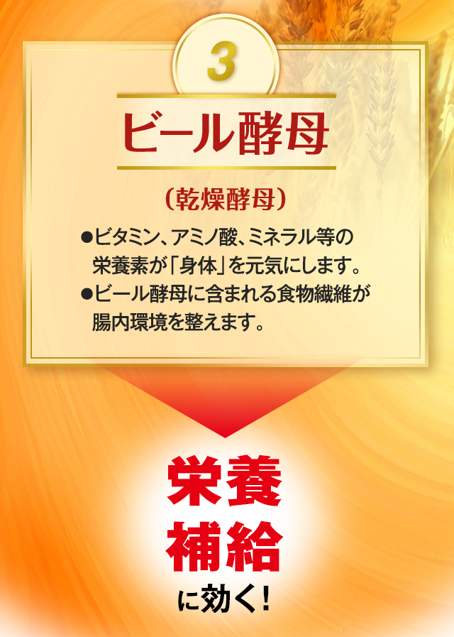 3.ビール酵母(乾燥酵母) ●ビタミン、アミノ酸、ミネラル等の栄養素が「身体」を元気にします。●ビール酵母に含まれる食物繊維が腸内環境を整えます。 →栄養補給に効く