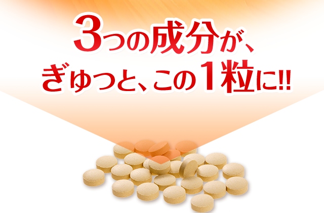 3つの成分が、ぎゅっと、この1粒に！！