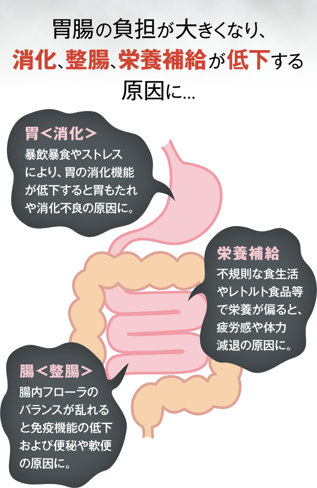 胃腸の負担が大きくなり、消化、整腸、栄養補給が低下する原因に...