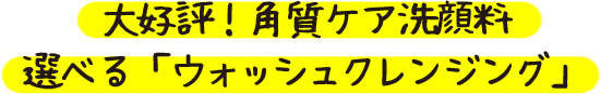 大好評！角質ケア洗顔料選べる「ウォッシュクレンジング」