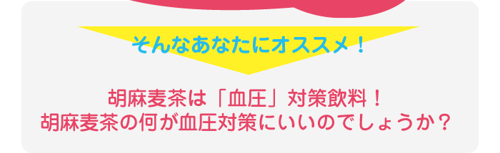 そんなあなたにオススメ！胡麻麦茶は「血圧」対策飲料！胡麻麦茶の何が血圧対策にいいのでしょうか？