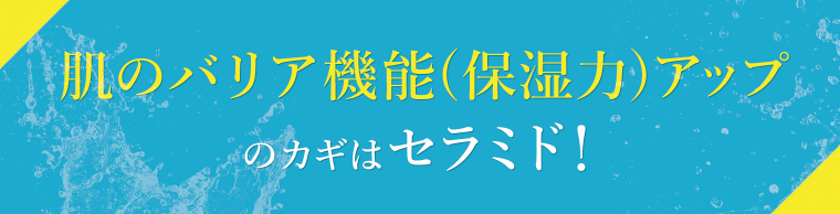 肌のバリア機能(保湿力)アップのガギはセラミド