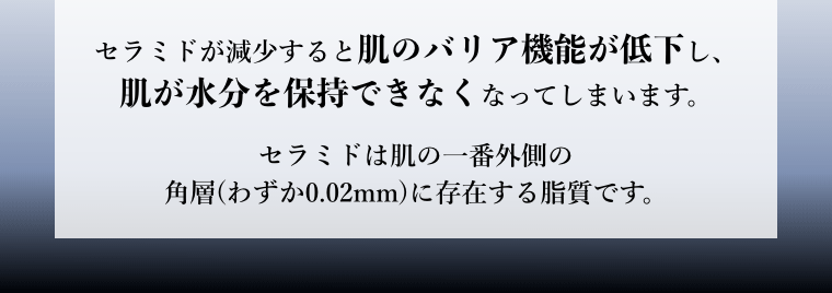 セラミドが減少すると肌のバリア機能が低下し、肌が水分を保持できなくなってしまいます。
