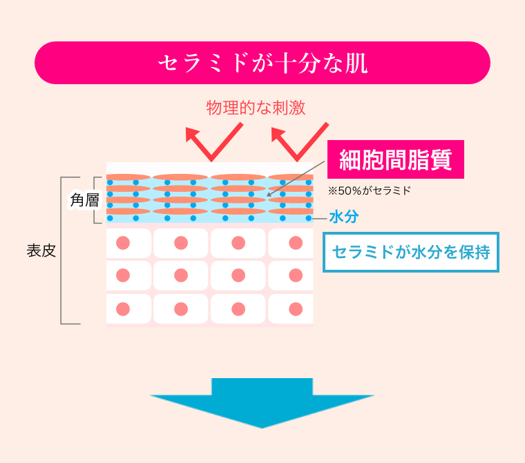 セラミドが十分な肌