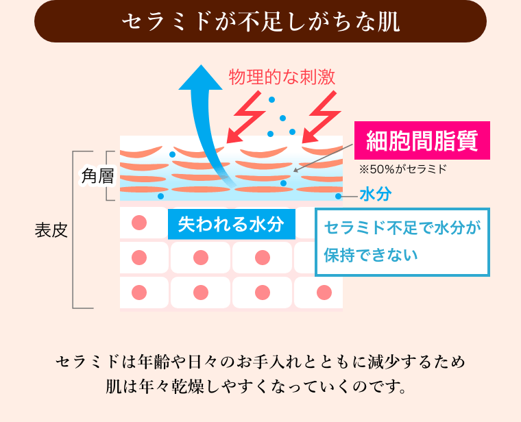 セラミドが不足しがちな肌