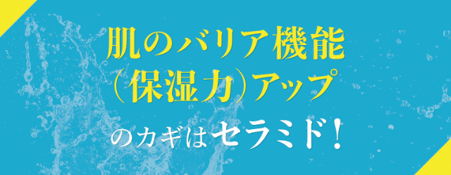 肌のバリア機能(保湿力)アップのガギはセラミド