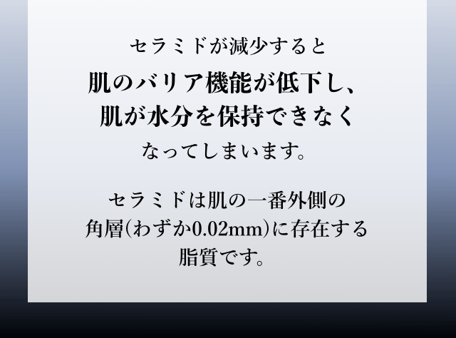セラミドが減少すると肌のバリア機能が低下し、肌が水分を保持できなくなってしまいます。