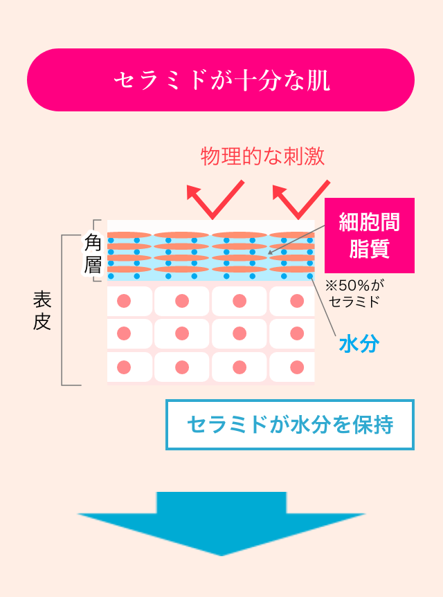 セラミドが十分な肌