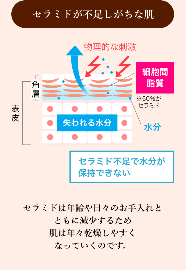 セラミドが不足しがちな肌