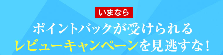 いまならポイントバックが受けられる レビューキャンペーンを見逃すな！