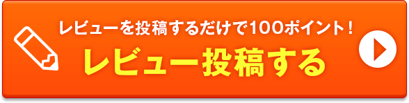 レビュー投稿する