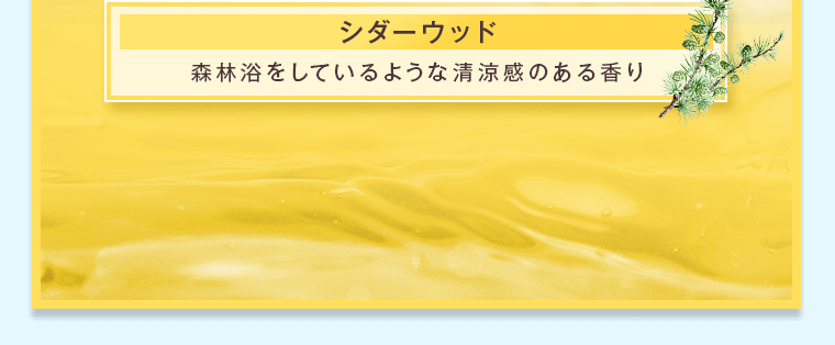 森林浴をしているような清涼感のある香り