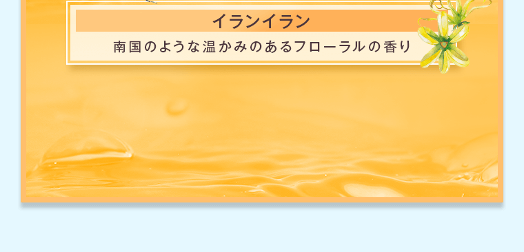 南国のような温かみのあるフローラルの香り