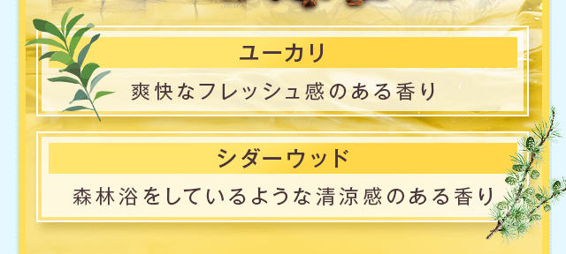 爽快なフレッシュ感のある香り