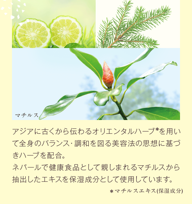 調和を図る美容法の思想に基づきハーブを配合。