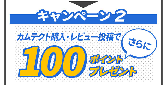 キャンペーン２ カムテクト購入・レビュー投稿でさらに100ポイントプレゼント