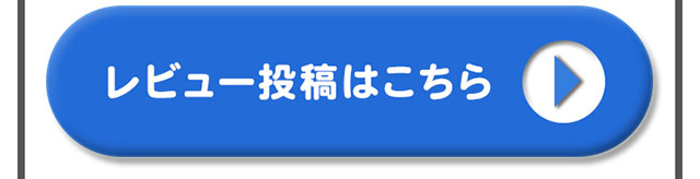 レビュー投稿はこちら＞＞