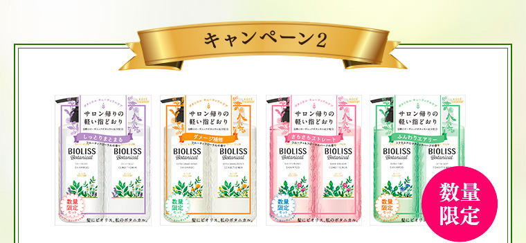 キャンペーン2