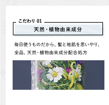 天然・植物由来成分 