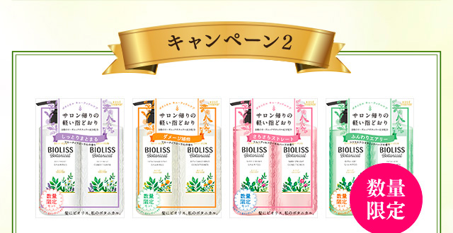 キャンペーン2