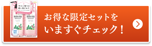お得な限定セットをいますぐチェック！