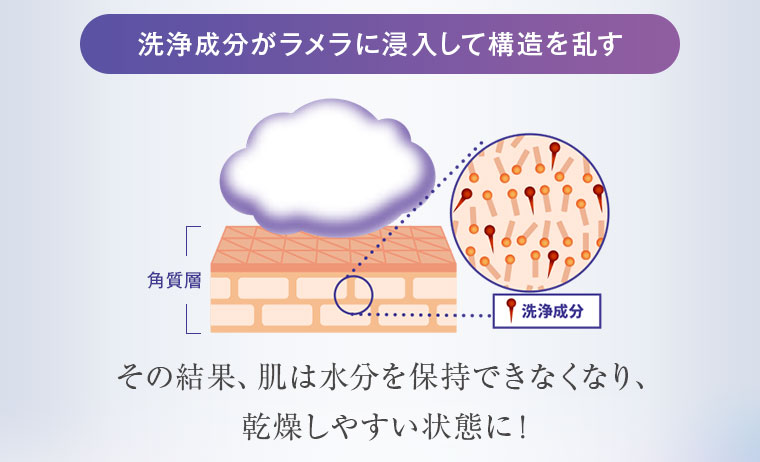 洗浄成分がラメラに浸入して構造を乱す