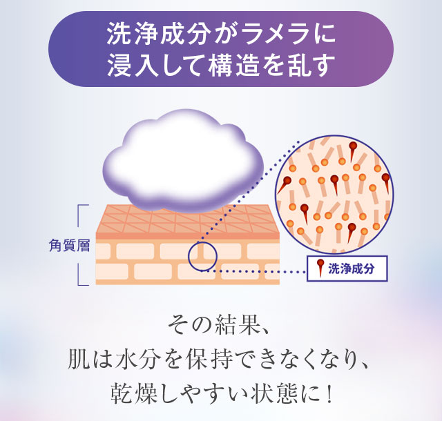 洗浄成分がラメラに浸入して構造を乱す
