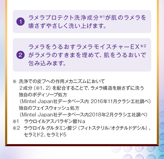 ラメラプロテクト洗浄成分が肌のラメラを壊さずやさしく洗い上げます