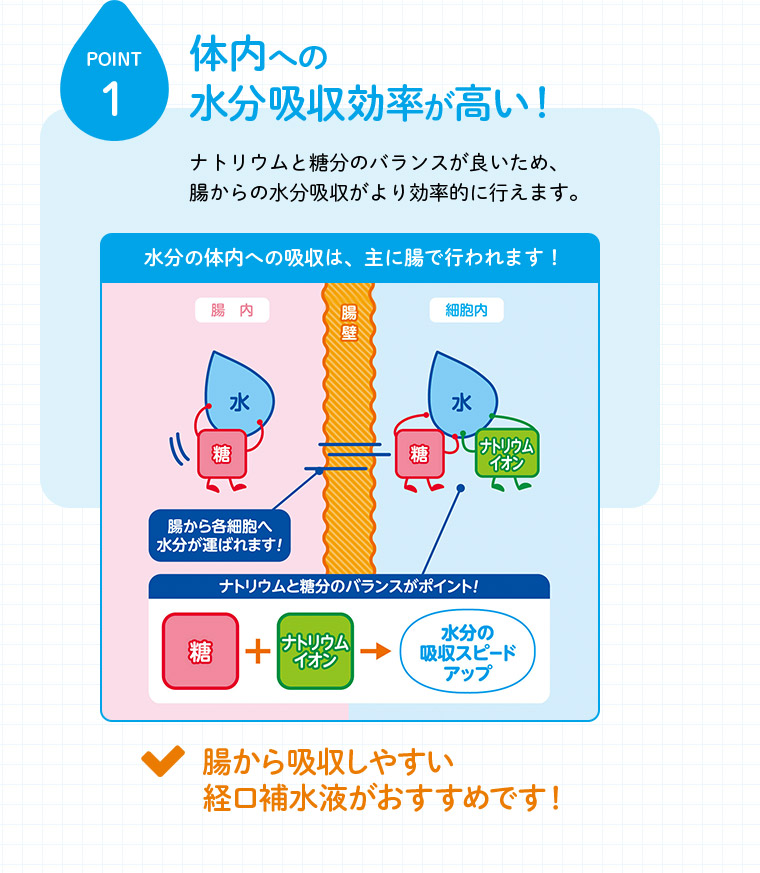 POINT1 体内への水分吸収効率が高い！ ナトリウムと糖分のバランスが良いため、腸からの水分吸収がより効率的に行えます。 水分の体内への吸収は、主に腸で行われます！ 腸から吸収しやすい経口補水液がおすすめです！