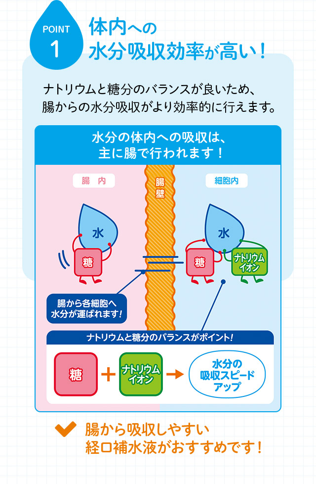POINT1 体内への水分吸収効率が高い！ ナトリウムと糖分のバランスが良いため、腸からの水分吸収がより効率的に行えます。 水分の体内への吸収は、主に腸で行われます！ 腸から吸収しやすい経口補水液がおすすめです！