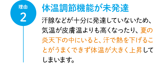 理由2 体温調節機能が未発達 汗腺などが十分に発達していないため、気温が皮膚温よりも高くなったり、夏の炎天下の中にいると、汗で熱を下げることがうまくできず体温が大きく上昇してしまいます。