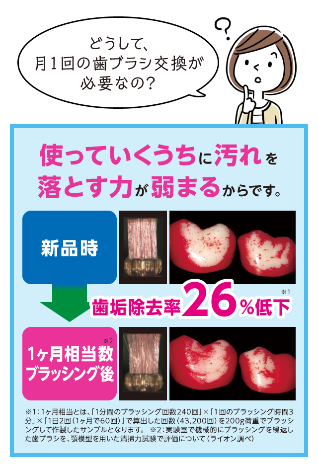 どうして月1回の歯ブラシ交換が必要なの？