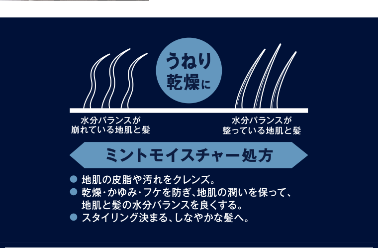 うねり乾燥にミントモイスチャー処方