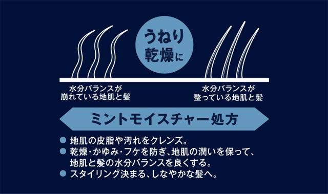 うねり乾燥にミントモイスチャー処方