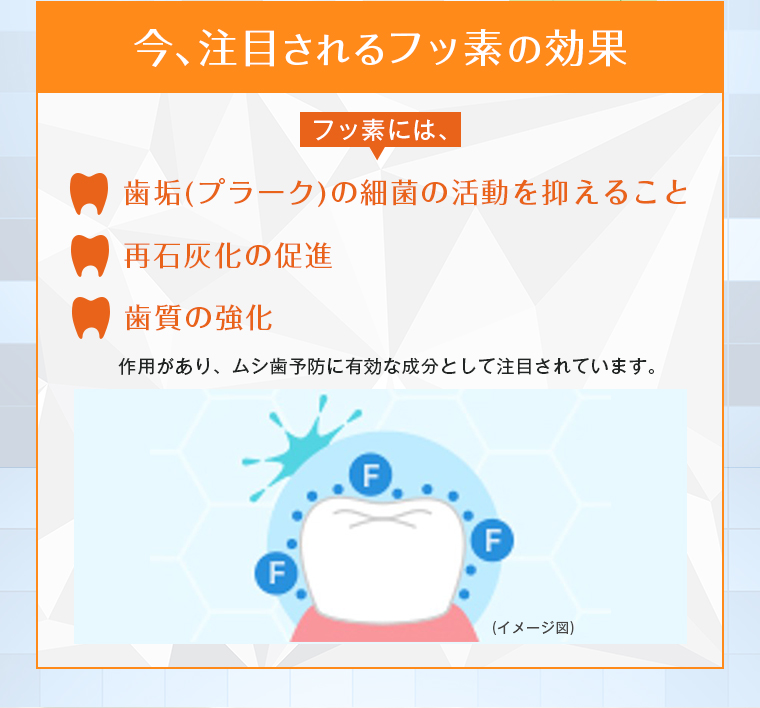 今、注目されるフッ素の効果