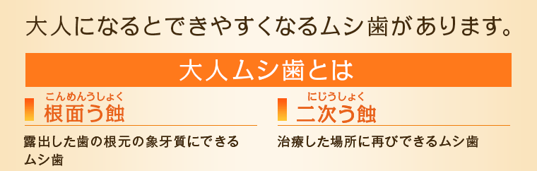 大人になるとできやすくなるムシ歯があります。