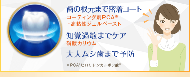 歯の根元まで密着コート