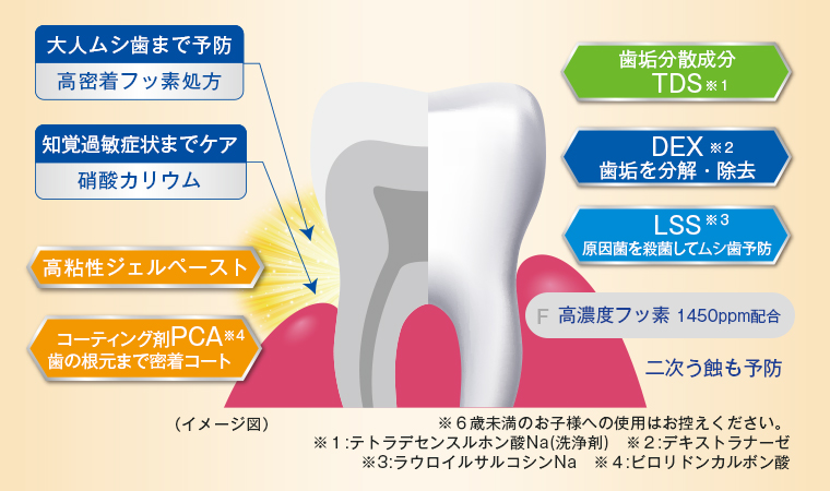 大人ムシ歯まで予防・高密着フッ素処方