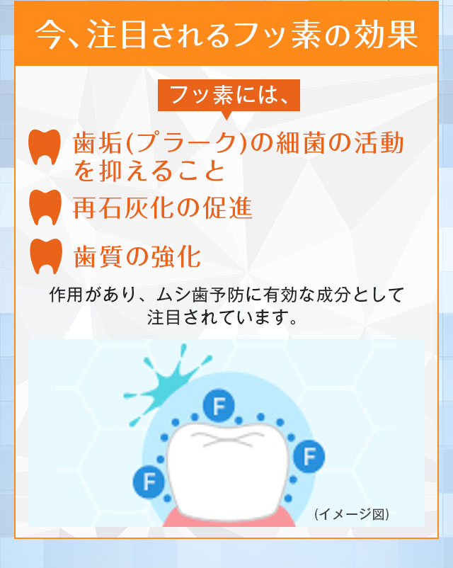 今、注目されるフッ素の効果
