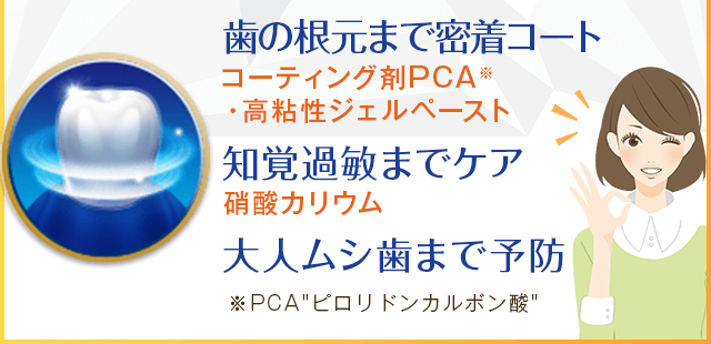 歯の根元まで密着コート