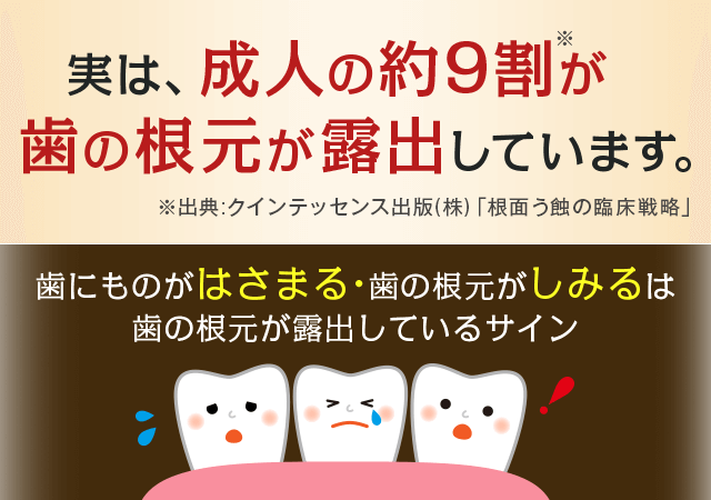 実は、成人の約9割が歯の根元が露出しています。