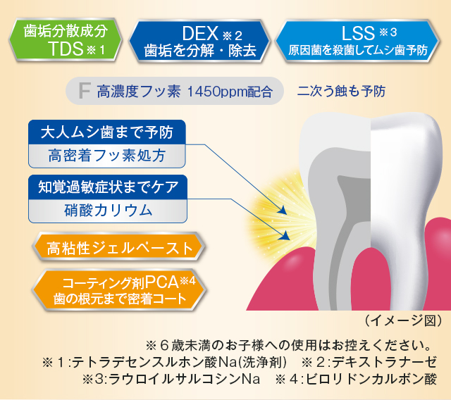 大人ムシ歯まで予防・高密着フッ素処方