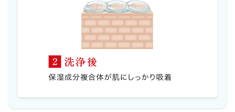 2.洗浄後 保湿成分複合体が肌にしっかり吸着