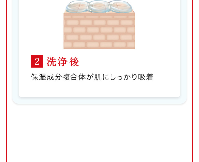 2.洗浄後 保湿成分複合体が肌にしっかり吸着
