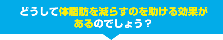 どうして体脂肪を減らすのを助ける効果があるのでしょう？