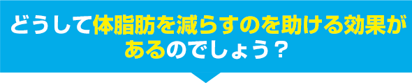 どうして体脂肪を減らすのを助ける効果があるのでしょう？