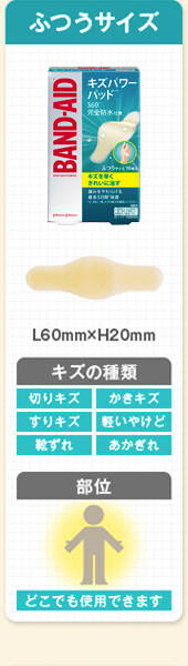 ふつうサイズ