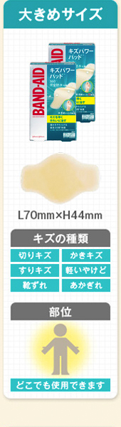 大きめサイズ