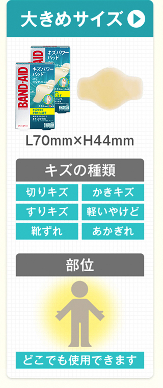 大きめサイズ